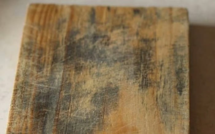 Cutting board material comparison